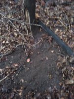 IMG_20220402_191110.jpg