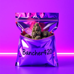 1747331503847.png