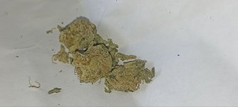 IMG_20250614_193659_223.jpg