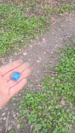 IMG_0606.jpeg