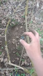IMG_0715.jpeg