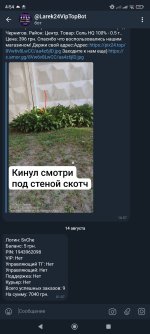 1000000797.jpg
