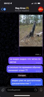 IMG_4550.jpeg