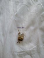 IMG_0496.jpeg