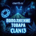 пополнение.jpg