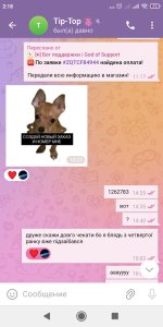 Screenshot_2025-09-22-02-18-32-882_org.telegram.messenger.jpg