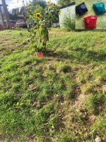 IMG_0873.jpeg