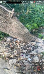 IMG_0562.jpeg