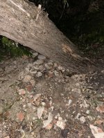 IMG_0555.jpeg