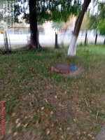20250924_084738.jpg