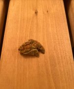 IMG_1105.jpeg