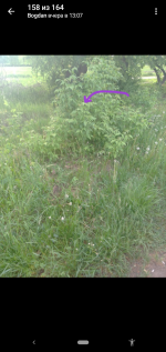 Screenshot_20220525-184510.png