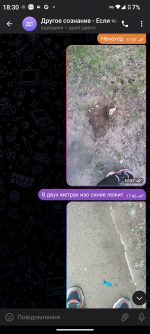 Screenshot_20230706-183046.png
