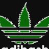 adihash.top