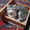 §*{Katrin}*§